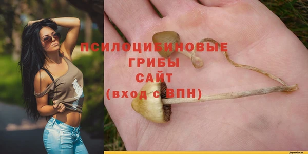 спайс Сафоново