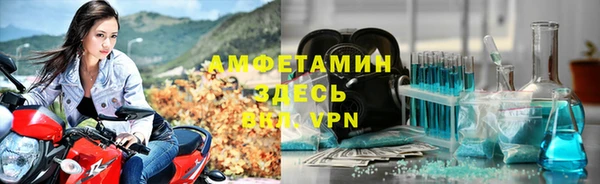 прущие грибы Россошь