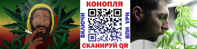 где купить наркоту  Терек  Каннабис MAZAR 